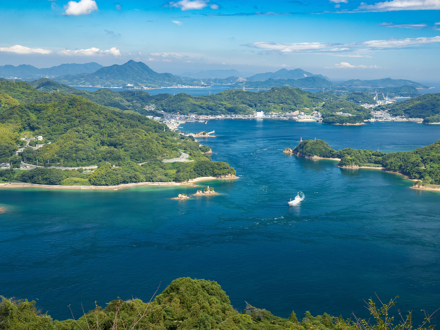 国産シリーズに期待されること